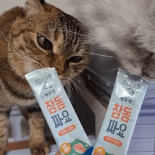 [제주펫] 광어짜요 강아지 고양이 짜먹는간식 (10P)