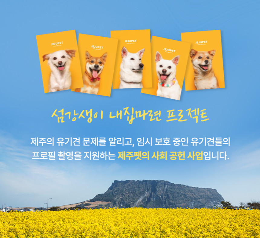 [제주펫] 광어짜요 강아지 고양이 짜먹는간식 (10P)