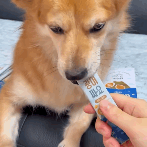 [제주펫] 광어짜요 강아지 고양이 짜먹는간식 (10P)