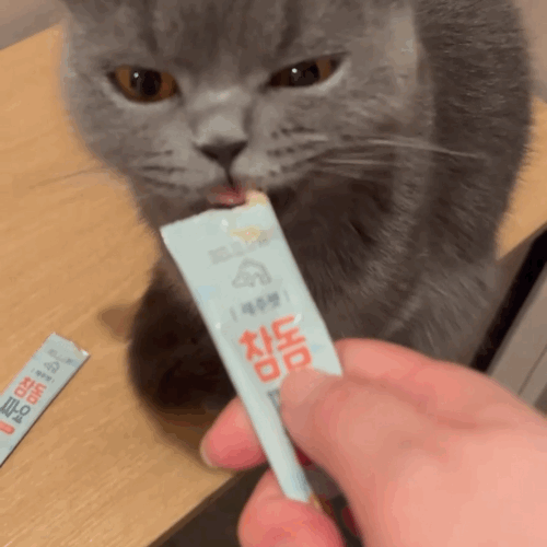 [제주펫] 광어짜요 강아지 고양이 짜먹는간식 (10P)