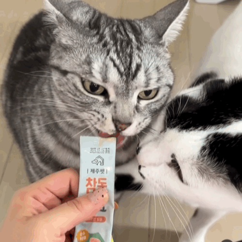 [제주펫] 광어짜요 강아지 고양이 짜먹는간식 (10P)