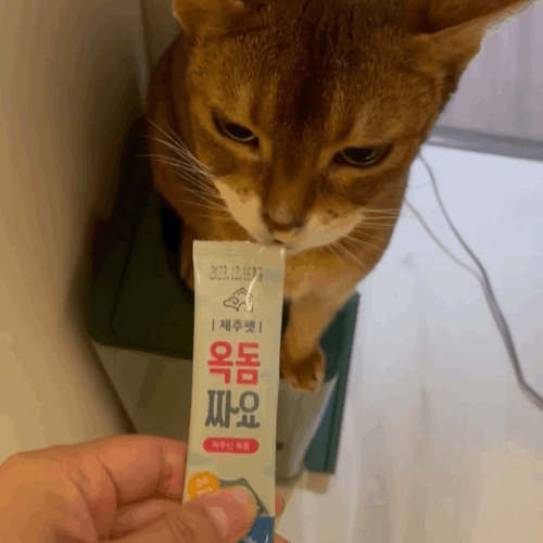 [제주펫] 광어짜요 강아지 고양이 짜먹는간식 (10P)