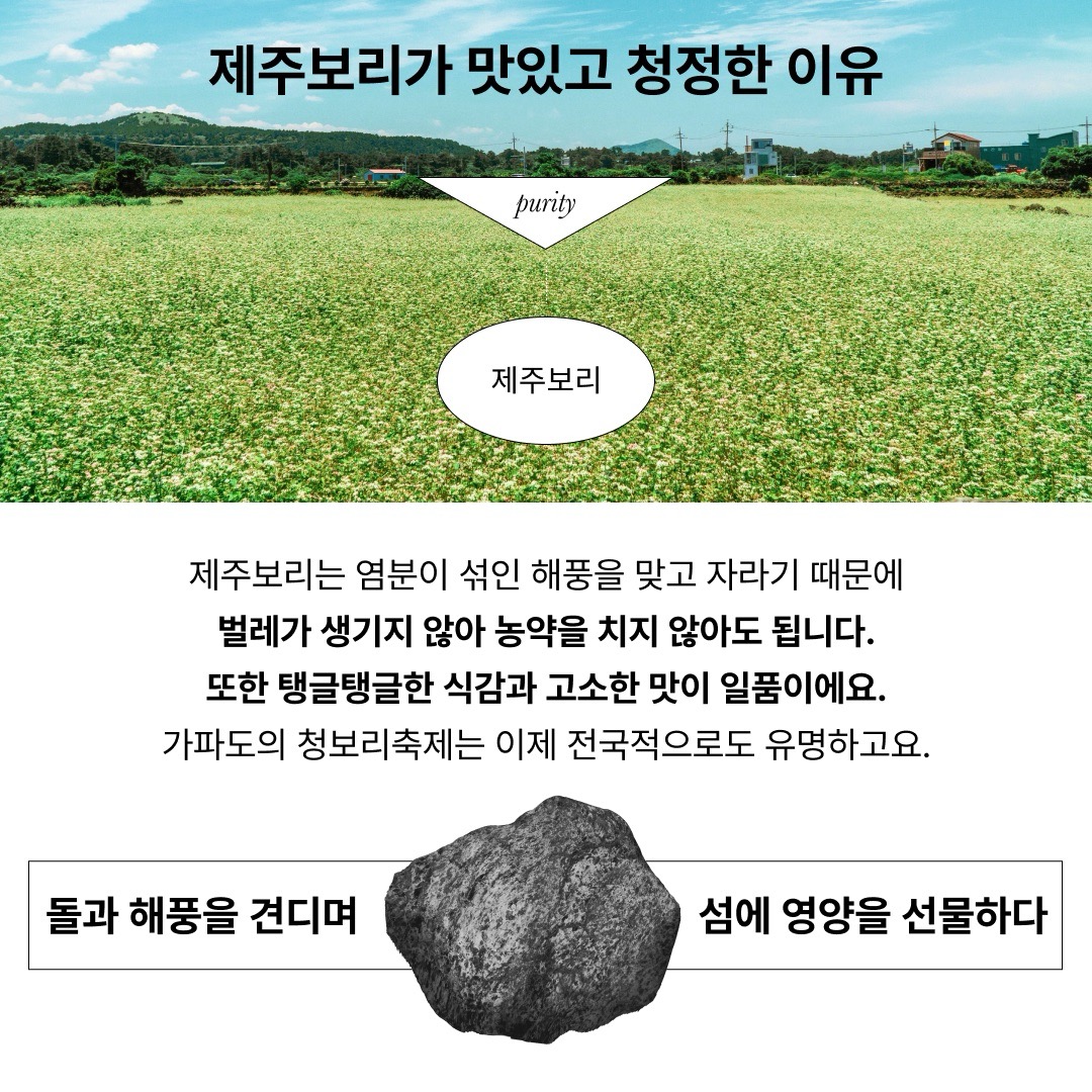 [한정판매]제주완벽한돈백질&단맥질 우주 최저가!